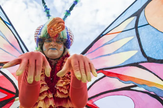 performer, butterfly, performance, performing, artist, costume, actor, artistic, fun, talent, show, entertainment, funny, spancirfest, talent, talent, talent, talent, talent, funny