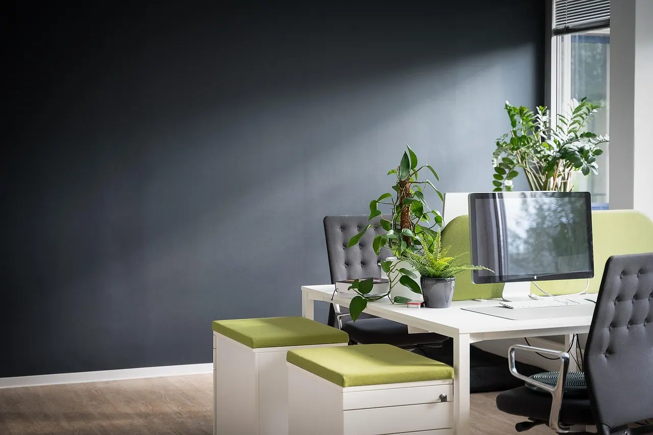 work, desk, office, management, bureaucracy, design, agency, indoor plants, success, company, business, project, planning, interior, furniture, setup, workplace, monitor, digital, 