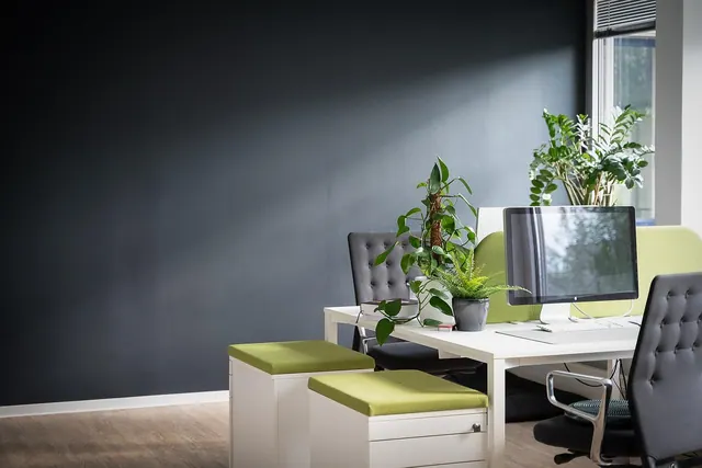 work, desk, office, management, bureaucracy, design, agency, indoor plants, success, company, business, project, planning, interior, furniture, setup, workplace, monitor, digital, 